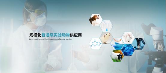 恭喜上海甲干生物科技中標蘇州大學(xué)實驗動物供應(yīng)商